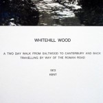 wood